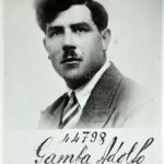 Gamba Adolfo